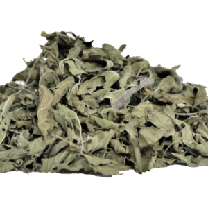 HOLY BASIL LEAF