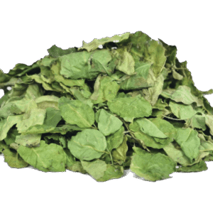 MORINGA LEAVES