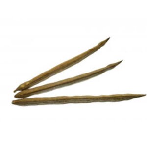 MORINGA PODS